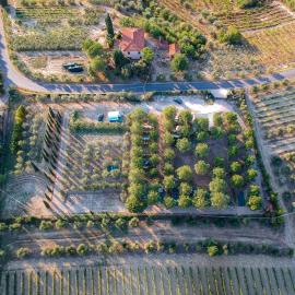 AGRiCAMPiNG POGGiO Ai PiNi WiNE CAMPiNG, khách sạn ở Certaldo