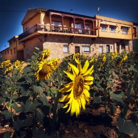 La Antigua Vaquería, hotel en Cuenca