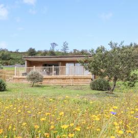 Meadow Lodge, hotel a Corwen