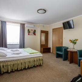 Pensjonat Rogatka, hotel in Osieczna