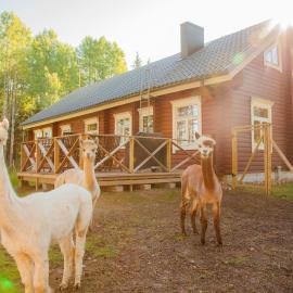 Heinähattu, hotel u gradu 'Kouvola'