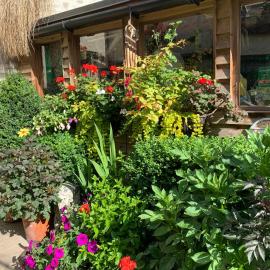 Courtyard Apartment, hotel in Shepton Mallet