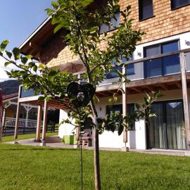 Appartement Dorrer โรงแรมในไอค์