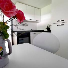 Apartma Sašo, hotel in Srpenica