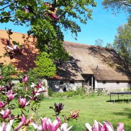 Sfeervolle vakantiewoning midden in het Drents-Friese Wold, hotel en Wateren