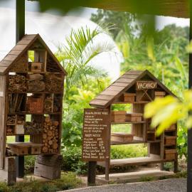 Green Me Organic Farm Khao Yai กรีนมี ออแกนิคฟาร์ม เขาใหญ่ โรงแรมในบ้านคลองยาง