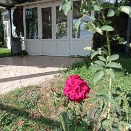 Hostal Brin โรงแรมในมอนเรอัล เดล กัมโป