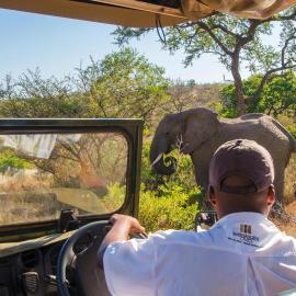 Shishangeni Lodge In Kruger National Park