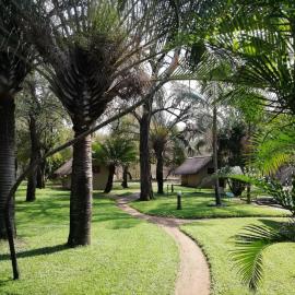 Shumba Safari Bush Camp