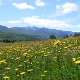 Cul Darach Lodge, Glen Roy Nature Reserve, hotel in Roybridge