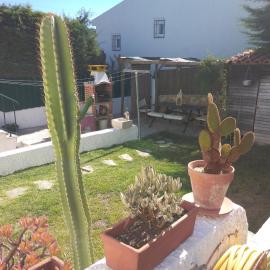 Casa Dos Cedros