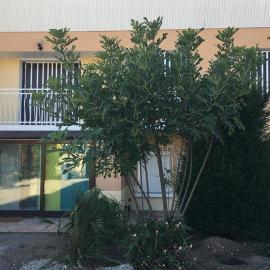 Irigny: Maison calme à 10 minutes de Lyon, ξενοδοχείο σε Irigny