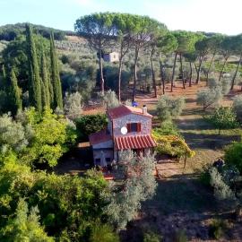 Ferienhaus IL-PINO, hotel a Roccastrada