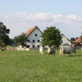 Traubshof, hotel em Ochsenhausen