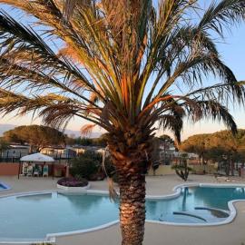 Bungalow, hotel u gradu 'Canet-en-Roussillon'