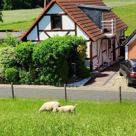 Viesnīca Ferienhaus Strandblume pilsētā Elsfleth