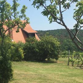 Holiday Home in Dörgicse Vineyard, hotel em Dörgicse