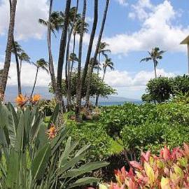 Kanai A Nalu Resort 108