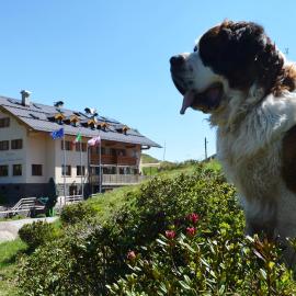 Rifugio Capanna Passo Valles, hotel en Falcade