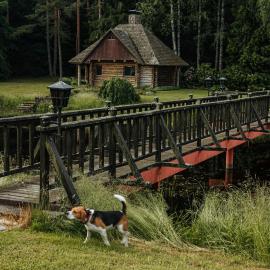 Log Cabin, hotel sa Kuldīga