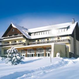 Hotel Haus am Ahorn、シェーネックのホテル