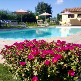 Punta dei Lecci, hotel u gradu Riparbela