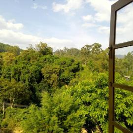 Green View Ella, hotel Ellában
