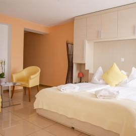 Hotel du Faucon, מלון בפריבורג
