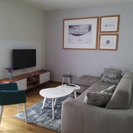Apartman 307 u Vili Borova