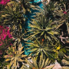 Flamingo Hotel & Spa - Pet Friendly, hotel em Oludeniz