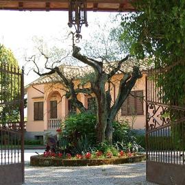 B&B Villa Iris