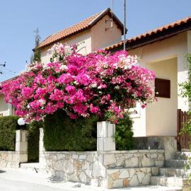 Hilltop Chalet, Hotel in Pissouri
