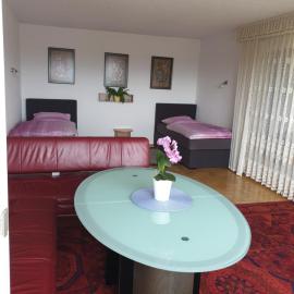 Home Helena โรงแรมในชแวร์เทอ