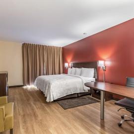 Red Roof Inn PLUS & Suites Houston - IAH Airport SW, hotel u gradu Hjuston