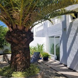 Casa La Palmera - Holiday house close to the beach, hotel din Arguineguín