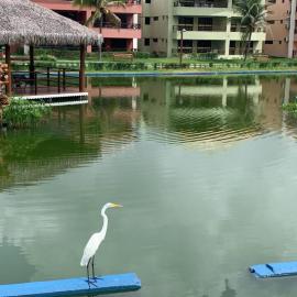 Aquaville - Porto das Dunas