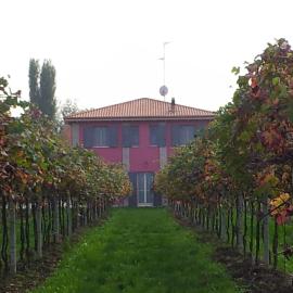 Agriturismo Fondo Gesù