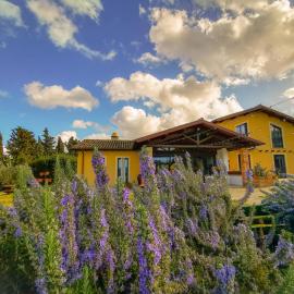 Country House Erba Regina, hotel v destinácii Frascati