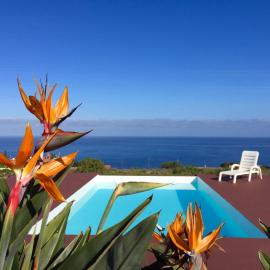 Dragos del Mar , Espacio Natural, hotel in La Orotava