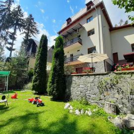 Vila Felix, hotel in Sinaia