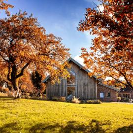 Blossom Hill Agroturystyka, hotell i Łęcze