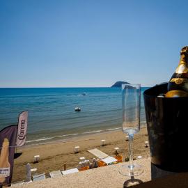 Sea Shell Beach Suite