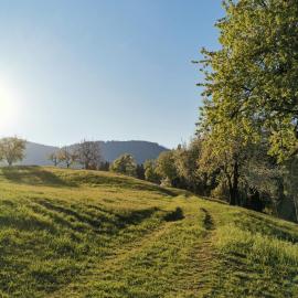 Apartma Lesjak - pobeg v naravo, hotel a Mozirje