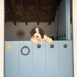 La Puerta Azul, Hotel in Bornos