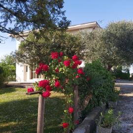 La Celeste a Montegaldella -VI - Italia, hotel Montegaldellában