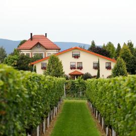 Villa Hochdörffer Gästehaus