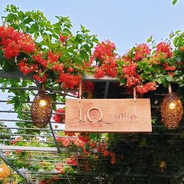LQ villa -Long Hải