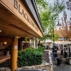Blackcomb Lodge