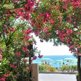Hotel Villa Rodriguez, hotel Capoliveriben