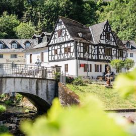 Landgasthof zur Burg Grenzau, готель у місті Гер-Ґренцгаузен